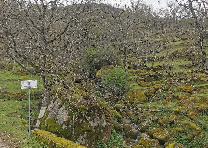 Tatil Evi Casa Olho Da Lebre Barrocal *