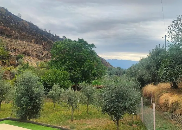 Casa Olho Da Lebre Barrocal * Trancoso